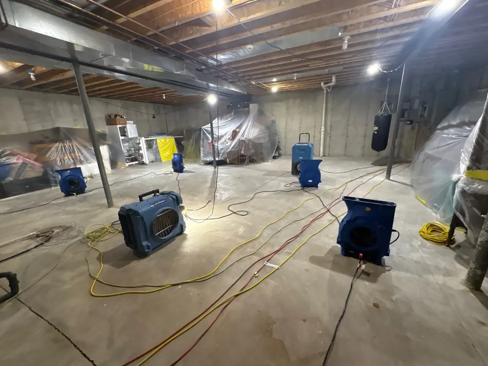Restoration equipment on a Vista job