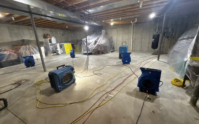 Basement Flood Cleanup in Vista, CA