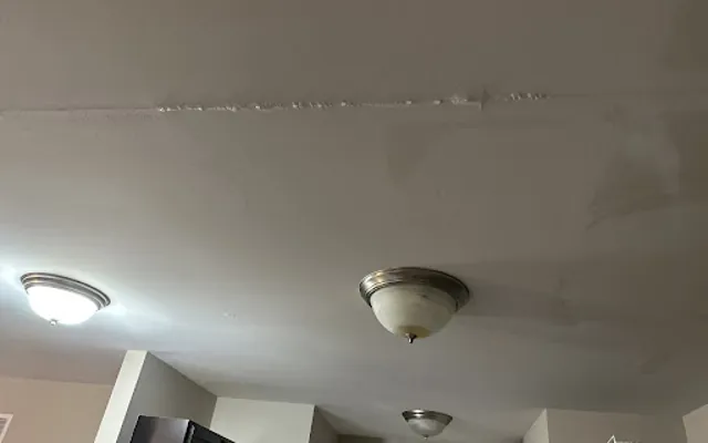 Ceiling Water Damage in Vista, CA