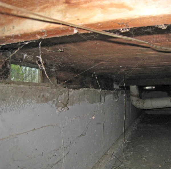 Crawlspace Water Removal in a Vista home