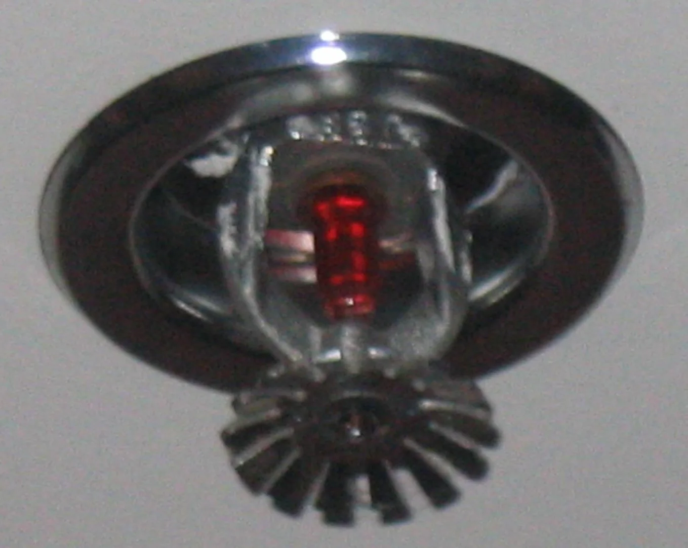 Fire Sprinkler Discharge in a Vista home