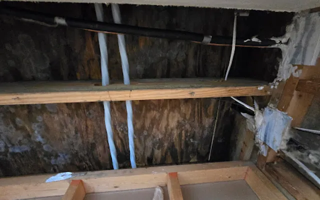 Roof Leak Water Damage in Vista, CA