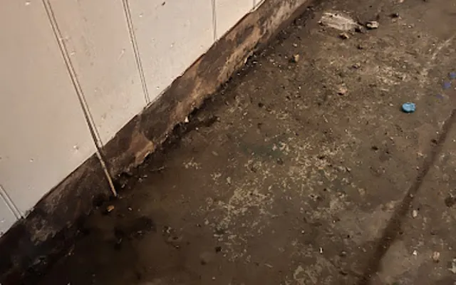 Sewage and Black Water Cleanup in Vista, CA