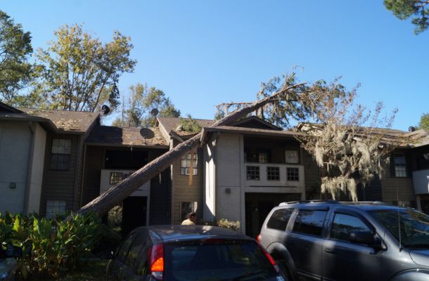 Storm Damage Restoration Vista, California